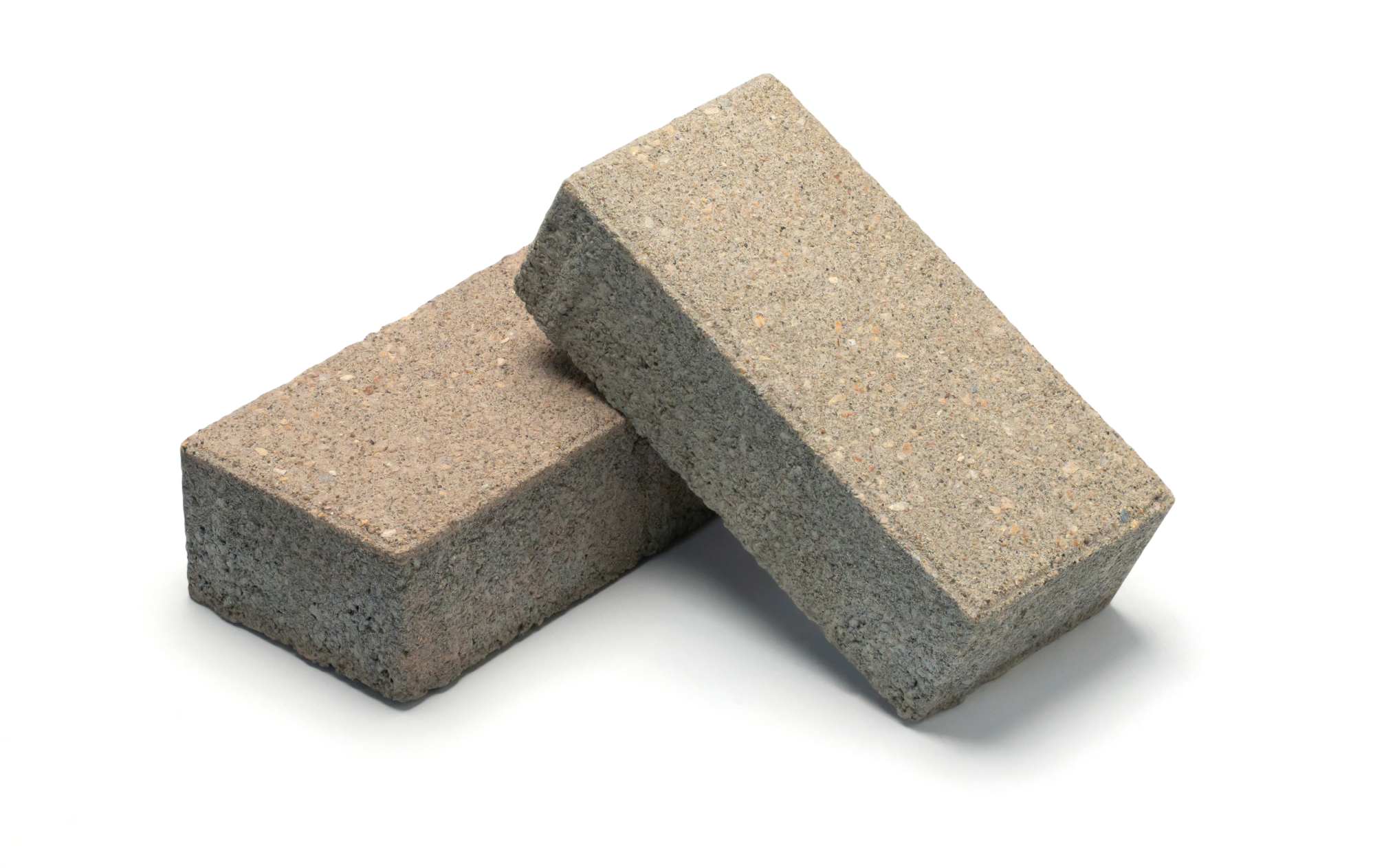 ソイルスルー画像